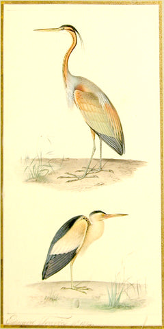 Edouard Travies (French, 1809 - 1870), Heron Study