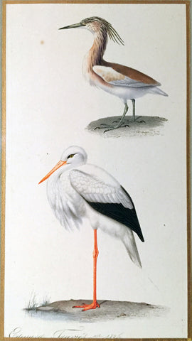 Edouard Travies (French, 1809 - 1870), Squacco Heron and White Stork