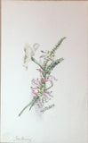 Elizabeth Twining (British, 1805-1889), and Other Contributors, Album of Original Watercolors and Sketches
