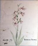 Elizabeth Twining (British, 1805-1889), and Other Contributors, Album of Original Watercolors and Sketches