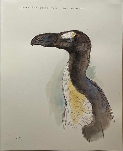 Walton Ford (American, b. 1960), Great Auk Study for Stac an Armin, 2021