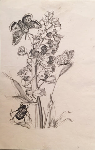 Christian Van Pesch (Belgian, 1728-1784), Hyacinth with Butterflies and Beetle