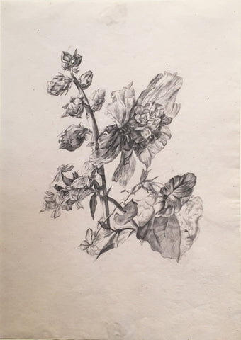Christian Van Pesch (Belgian, 1728-1784), Rose and Hyacinth