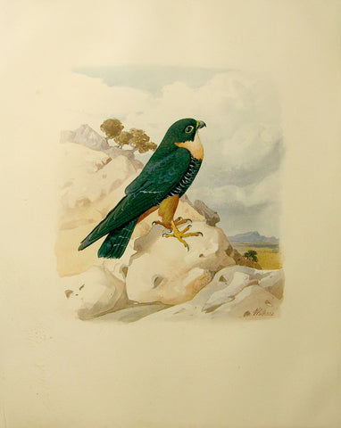 Wahast (C. 1800), Untitled [Bird on a Rock]