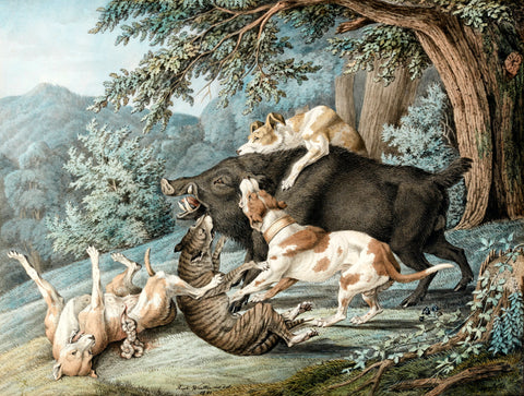 RAPHAEL WINTTER (GERMAN, 1784-1852) Dogs Attacking a Boar