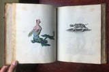 Catherine Wrather, Album of 95 original drawings of various mammals, 1829.