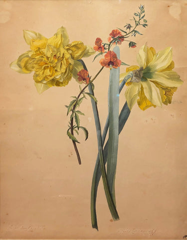 Leopold Zinnogger (Austrian, 1811-1872), Narcissus and Orchid